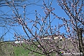 VBS_8812- Risvegli